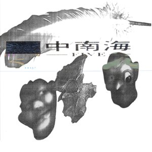 Image for 'Gun To The World'