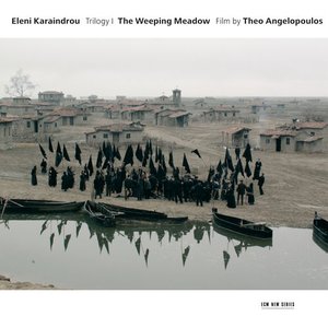 Image for 'Karaindrou: The Weeping Meadow - Film by Theo Angelopoulos'