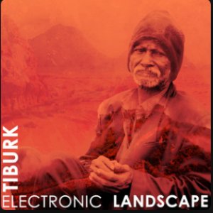 Image for 'Electronic Landscape'