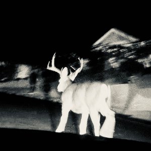 Image for 'Camouflage'