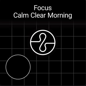 Изображение для 'Focus: Calm Clear Morning'