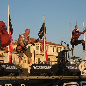 Image for 'The Hormonauts'