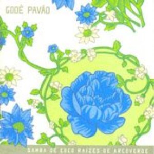 Immagine per 'Godê Pavão'