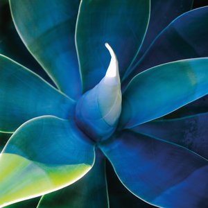 Image for 'Azur'