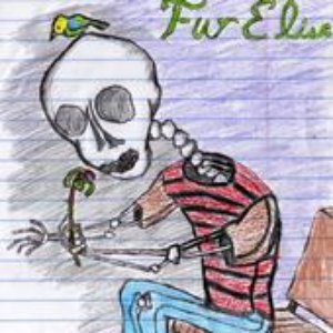 “Fur Elise”的封面