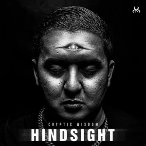 Image for 'Hindsight'