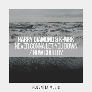 Image pour 'Never Gonna Let You Down + How Could I?'