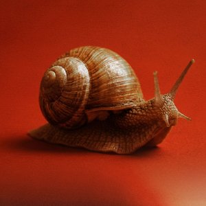 Image for 'Não Existe Cura'