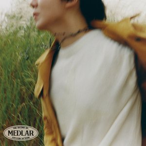 “Medlar Mixtape”的封面