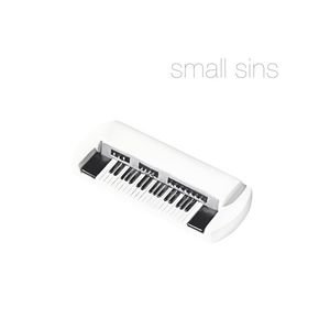 “Small Sins”的封面