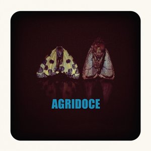 Immagine per 'Agridoce'