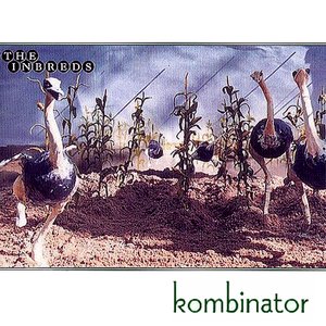 Image pour 'Kombinator'