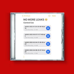 Image for 'No More Leaks'