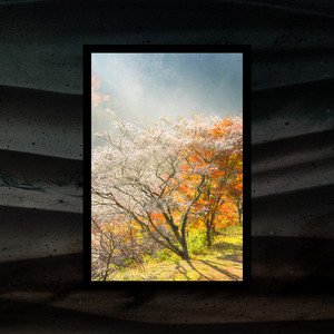 Image for 'In Nature'