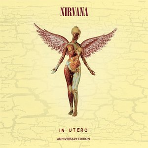 'In Utero (20th Anniversary Edition)' için resim