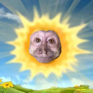apricotcat777