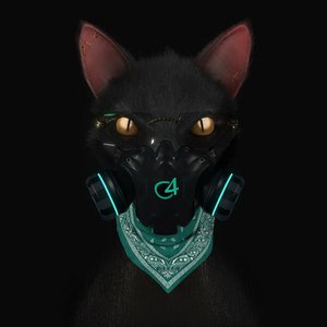 “Gato de Noche”的封面