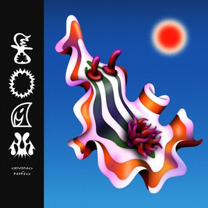“Foam”的封面