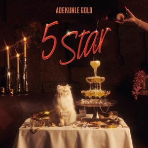 Image for '5 Star'