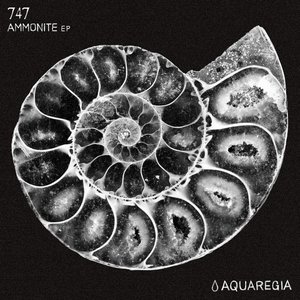 Image for 'Ammonite EP'