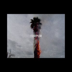 Image for 'torpor'