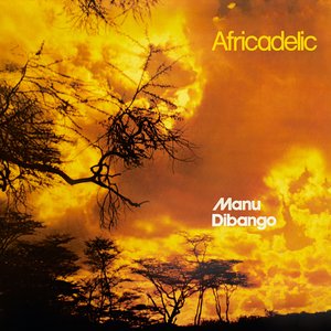 'Africadelic'の画像