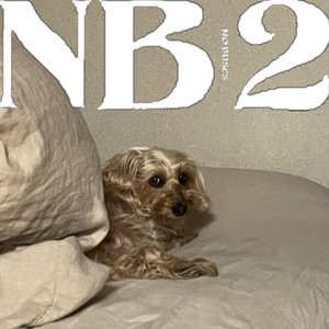Image for 'NB2'