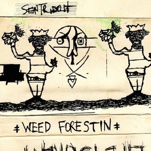 Image for 'Weed Forestin''