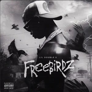 Image for 'Freebirdz'