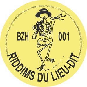 Image for 'Les Riddims Du Lieu-dit'