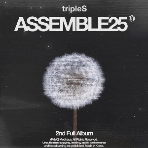 Immagine per '<ASSEMBLE25>'