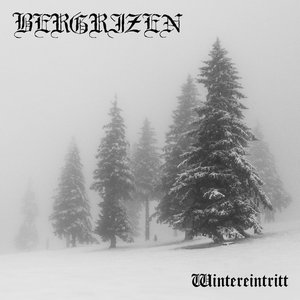 Image for 'Wintereintritt'