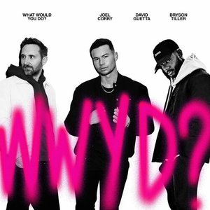 Image pour 'What Would You Do?'