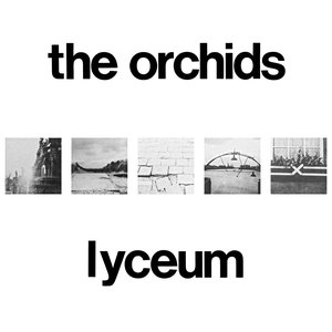 'Lyceum' için resim