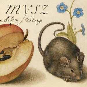 Image for 'Mysz'