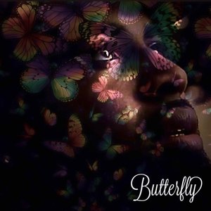 Image for 'Butterfly'