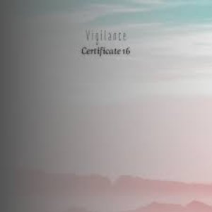 Image for 'Vigilance'
