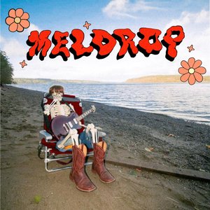 “Meldrop”的封面