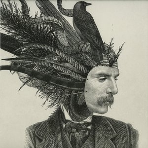 Image for 'Aviator'