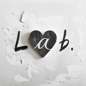 “Lab.”的封面