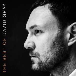 “The Best of David Gray (Deluxe Edition)”的封面