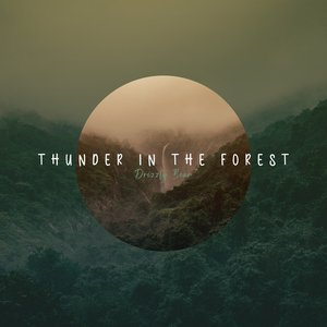 'Thunder In The Forest' için resim