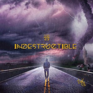 Image for 'Indestructible'