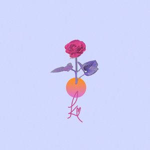 Image for 'A Book About Itself'