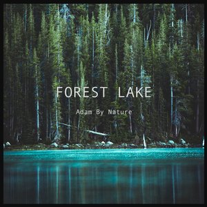 Image for 'Forest Lake'