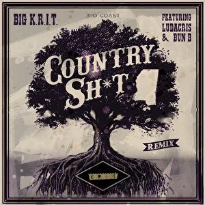 'Country Sh*t (Remix)' için resim
