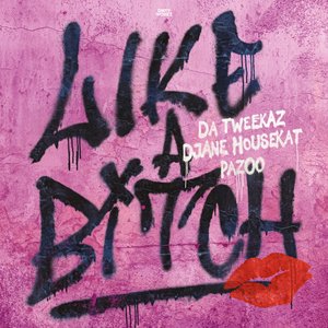 Image for 'Like A Bitch'