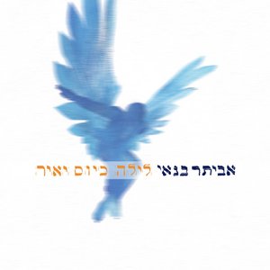 Image for 'לילה כיום יאיר'