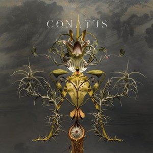 “Conatus”的封面