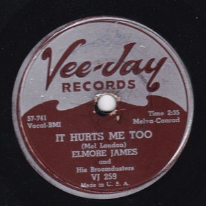 Image for 'It Hurts Me Too / Elmore's Contribution to Jazz'